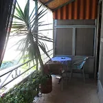 Yucca