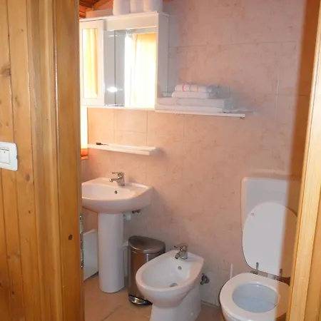 Yucca トロギール