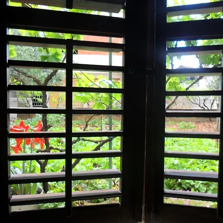 Yucca בית הארחה 3*