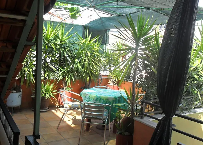 Konukevi Yucca 3*