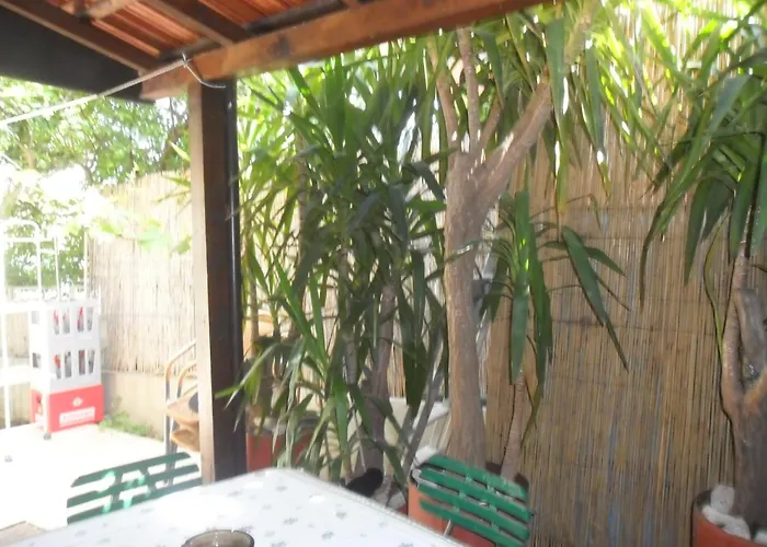 Yucca 게스트하우스