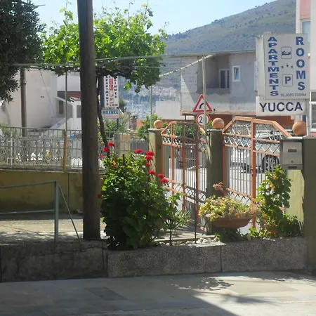 Yucca 3*